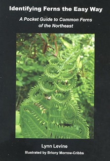 Identifying Ferns the Easy Way